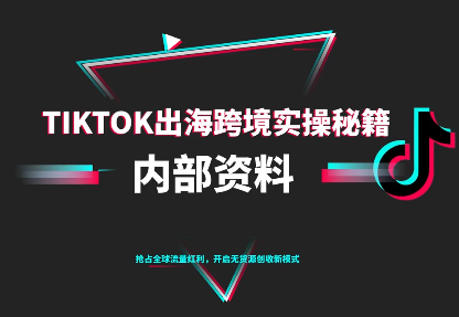 TikTok跨境电商0-1搭建运营(更新10月)网络赚钱,项目资源网,副业资源网,兼职项目,网赚课程-副业赚钱-互联网创业-独家轻创IP大圣网创
