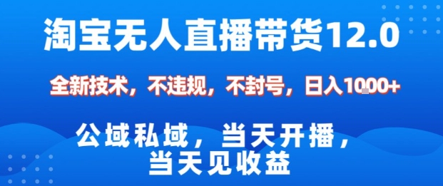 淘宝无人直播12.0，公域私域技术，不封号，不违规布局双十一流量风口，日入1k(独家技术)【揭秘】网络赚钱,项目资源网,副业资源网,兼职项目,网赚课程-副业赚钱-互联网创业-独家轻创IP大圣网创