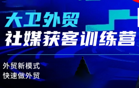 大卫老师·外贸社媒获客独家训练营(更新)网络赚钱,项目资源网,副业资源网,兼职项目,网赚课程-副业赚钱-互联网创业-独家轻创IP大圣网创