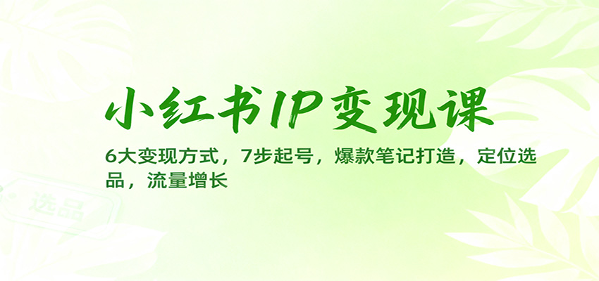 小红书IP变现课:6大变现方式,7步起号,爆款笔记打造,定位选品,流量增长网络赚钱,项目资源网,副业资源网,兼职项目,网赚课程-副业赚钱-互联网创业-独家轻创IP大圣网创