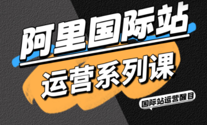 醒目老师·阿里国际站运营系列课(更新11月)网络赚钱,项目资源网,副业资源网,兼职项目,网赚课程-副业赚钱-互联网创业-独家轻创IP大圣网创