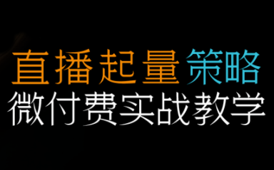 半野老师·直播带货起量与微付费必学课视频号网络赚钱,项目资源网,副业资源网,兼职项目,网赚课程-副业赚钱-互联网创业-独家轻创IP大圣网创
