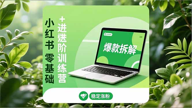 小红书零基础+高阶训练营：安全养号、爆款拆解、长效运营，实现稳定涨粉与变现网络赚钱,项目资源网,副业资源网,兼职项目,网赚课程-副业赚钱-互联网创业-独家轻创IP大圣网创