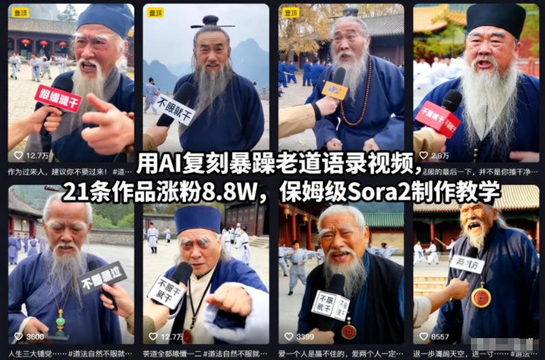 用AI复刻暴躁老道语录视频,21条作品涨粉8.8W,保姆级Sora2制作教学网络赚钱,项目资源网,副业资源网,兼职项目,网赚课程-副业赚钱-互联网创业-独家轻创IP大圣网创
