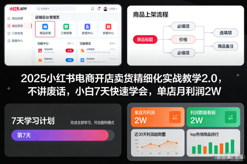2025小红书电商开店卖货精细化实战教学2.0，不讲废话，小白7天快速学会，单店月利润2W网络赚钱,项目资源网,副业资源网,兼职项目,网赚课程-副业赚钱-互联网创业-独家轻创IP大圣网创