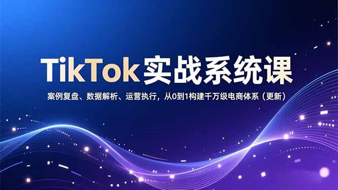 TikTok实战系统课，案例复盘、数据解析、运营执行，从0到1构建千万级电商体系(更新网络赚钱,项目资源网,副业资源网,兼职项目,网赚课程-副业赚钱-互联网创业-独家轻创IP大圣网创