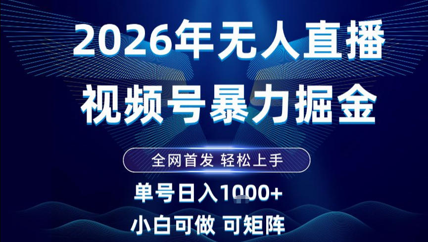 2026最新视频号无人直播掘金，全网首发，小白可以玩，长期稳定日入1k+【揭秘】网络赚钱,项目资源网,副业资源网,兼职项目,网赚课程-副业赚钱-互联网创业-独家轻创IP大圣网创