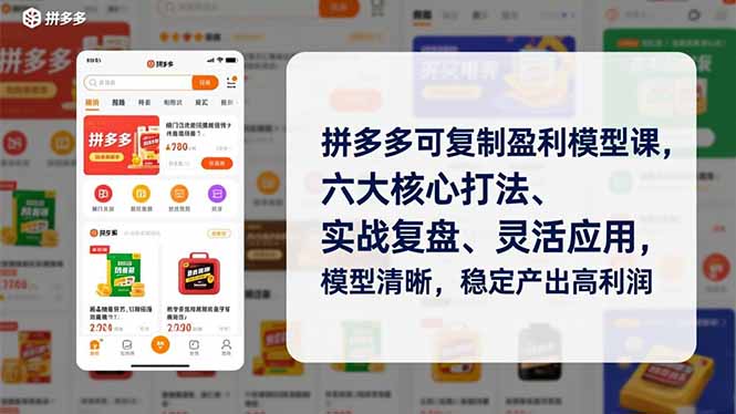 拼多多可复制盈利模型课，六大核心打法、实战复盘、灵活应用，模型清晰，稳定产出高利润网络赚钱,项目资源网,副业资源网,兼职项目,网赚课程-副业赚钱-互联网创业-独家轻创IP大圣网创