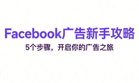 跨境电商Facebook广告新手入门网络赚钱,项目资源网,副业资源网,兼职项目,网赚课程-副业赚钱-互联网创业-独家轻创IP大圣网创