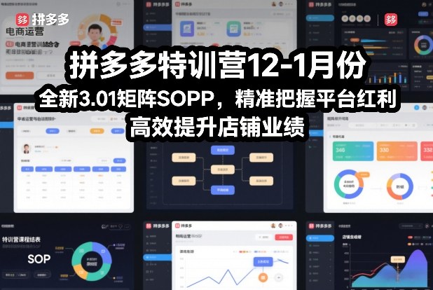 拼多多特训营12-1月份，全新3.01矩阵Sop，精准把握平台红利，高效提升店铺业绩网络赚钱,项目资源网,副业资源网,兼职项目,网赚课程-副业赚钱-互联网创业-独家轻创IP大圣网创