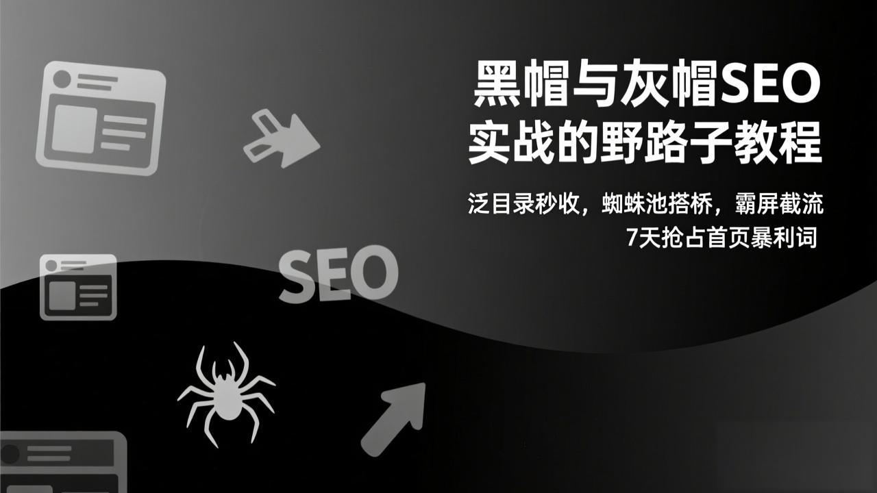 黑帽与灰帽SEO实战的野路子教程：泛目录秒收，蜘蛛池搭桥，霸屏截流，7天抢占首页暴利词网络赚钱,项目资源网,副业资源网,兼职项目,网赚课程-副业赚钱-互联网创业-独家轻创IP大圣网创