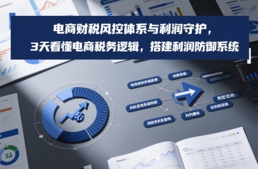 电商财税风控体系与利润守护，3天看懂电商税务逻辑，搭建利润防御系统网络赚钱,项目资源网,副业资源网,兼职项目,网赚课程-副业赚钱-互联网创业-独家轻创IP大圣网创