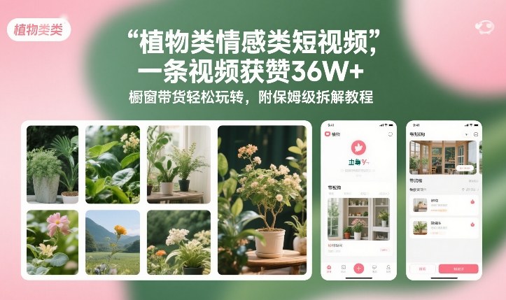 植物类情感类短视频，一条视频获赞36W+，橱窗带货轻松玩转，附保姆级拆解教程网络赚钱,项目资源网,副业资源网,兼职项目,网赚课程-副业赚钱-互联网创业-独家轻创IP大圣网创