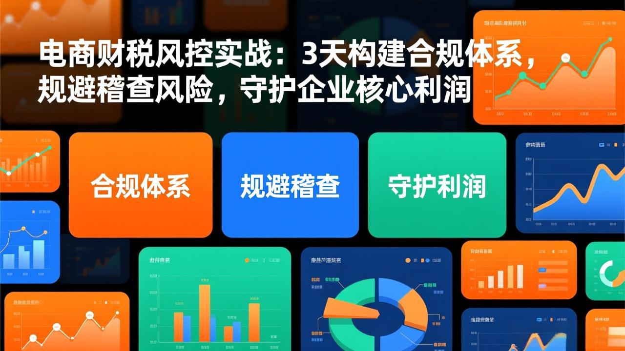 电商财税风控实战：3天构建合规体系，规避稽查风险，守护企业核心利润网络赚钱,项目资源网,副业资源网,兼职项目,网赚课程-副业赚钱-互联网创业-独家轻创IP大圣网创