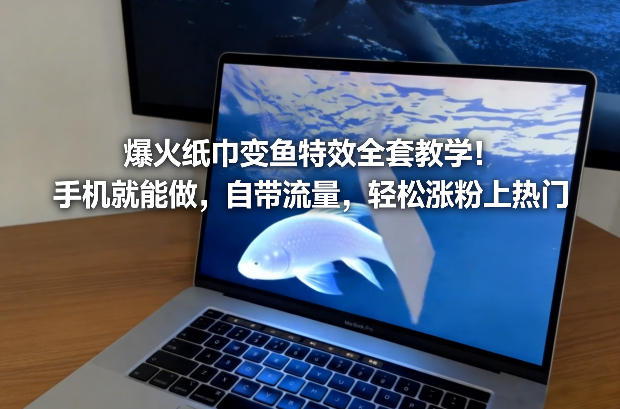 爆火纸巾变鱼特效全套教学！手机就能做，自带流量，轻松涨粉上热门网络赚钱,项目资源网,副业资源网,兼职项目,网赚课程-副业赚钱-互联网创业-独家轻创IP大圣网创