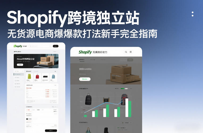 Shopify跨境独立站无货源电商爆款打法新手完全指南网络赚钱,项目资源网,副业资源网,兼职项目,网赚课程-副业赚钱-互联网创业-独家轻创IP大圣网创