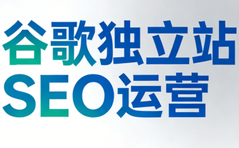 谷歌独立站SEO运营(更新2026)网络赚钱,项目资源网,副业资源网,兼职项目,网赚课程-副业赚钱-互联网创业-独家轻创IP大圣网创