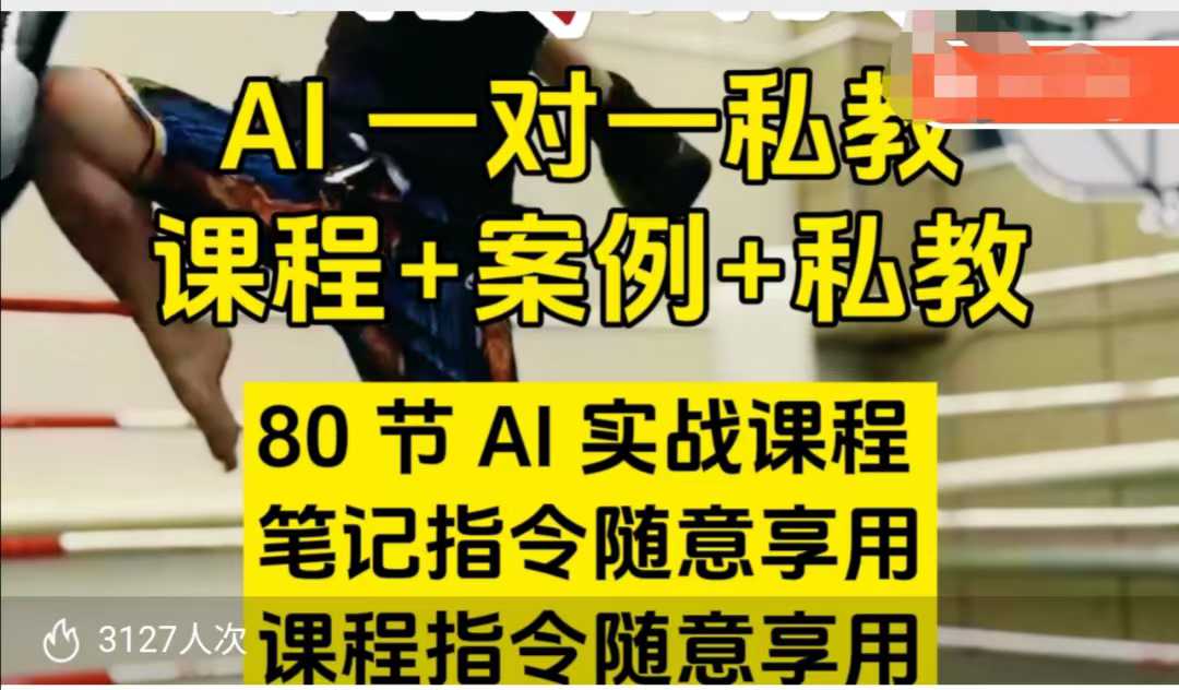 AI指令实战课，课程+案例，80节AI实战课程，笔记指令随意享用，课程指令随意享用(更新26年3月)网络赚钱,项目资源网,副业资源网,兼职项目,网赚课程-副业赚钱-互联网创业-独家轻创IP大圣网创