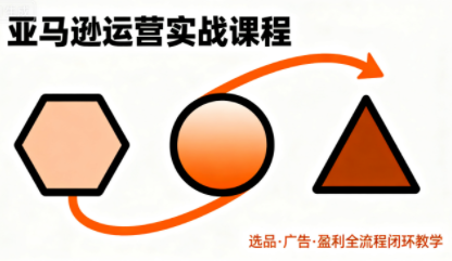 毕方电商·亚马逊全站会员课程(更新3月)网络赚钱,项目资源网,副业资源网,兼职项目,网赚课程-副业赚钱-互联网创业-独家轻创IP大圣网创