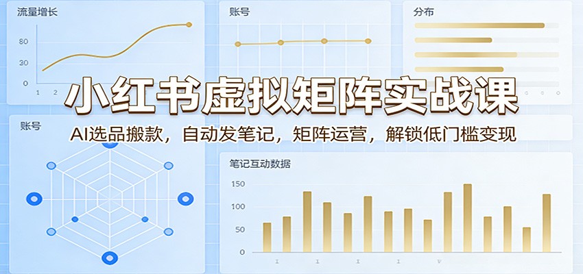 小红书虚拟矩阵实战课：AI选品搬款，自动发笔记，矩阵运营，解锁低门槛变现网络赚钱,项目资源网,副业资源网,兼职项目,网赚课程-副业赚钱-互联网创业-独家轻创IP大圣网创