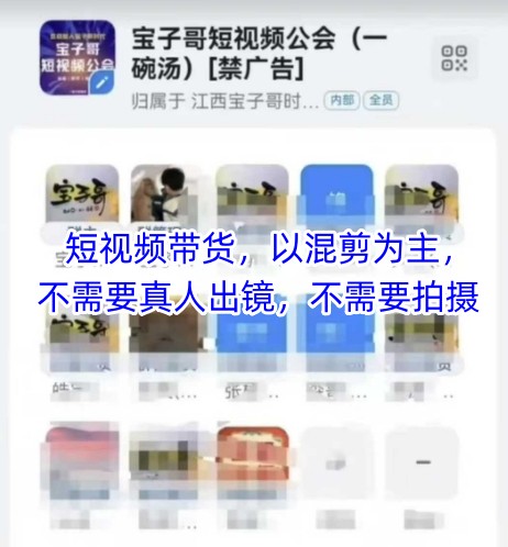 宝子哥头部团队短视频带货，以混剪为主，不需要真人出镜，不需要拍摄【更新26年3月】网络赚钱,项目资源网,副业资源网,兼职项目,网赚课程-副业赚钱-互联网创业-独家轻创IP大圣网创
