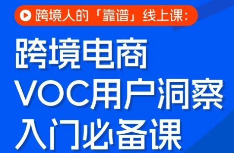 跨境电商VOC用户洞察入门必备课网络赚钱,项目资源网,副业资源网,兼职项目,网赚课程-副业赚钱-互联网创业-独家轻创IP大圣网创