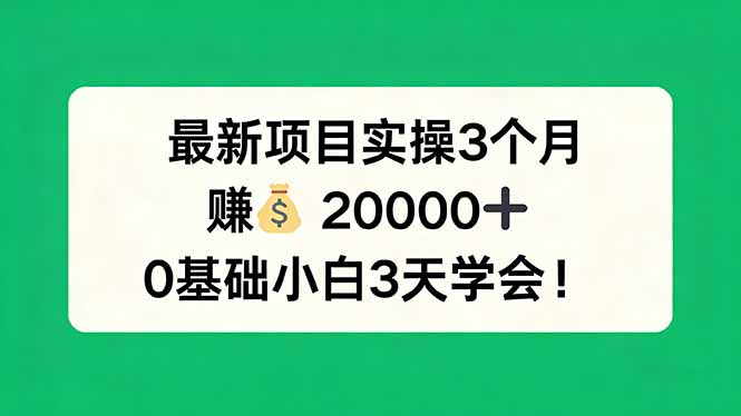 最新项目实操3个月，赚钱20000+，0基础小白3天学会！网络赚钱,项目资源网,副业资源网,兼职项目,网赚课程-副业赚钱-互联网创业-独家轻创IP大圣网创