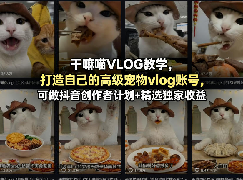干嘛喵VLOG教学，打造自己的高级宠物vlog账号，可做抖音创作者计划+精选独家收益网络赚钱,项目资源网,副业资源网,兼职项目,网赚课程-副业赚钱-互联网创业-独家轻创IP大圣网创