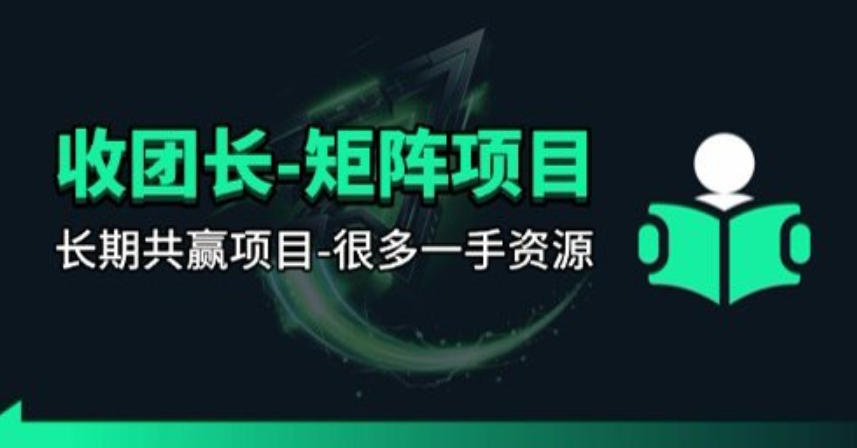 【团长合作】视频矩阵项目_招发手矩阵+剪辑师，共赢项目【揭秘】网络赚钱,项目资源网,副业资源网,兼职项目,网赚课程-副业赚钱-互联网创业-独家轻创IP大圣网创