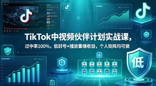 TikTok中视频伙伴计划实战课，过中率100%，低封号+播放量賺收益，个人矩阵均可做网络赚钱,项目资源网,副业资源网,兼职项目,网赚课程-副业赚钱-互联网创业-独家轻创IP大圣网创