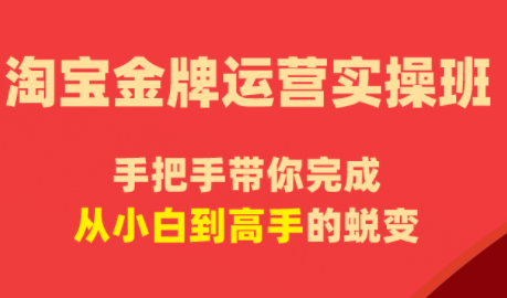 飓风电商·淘宝金牌运营实操班网络赚钱,项目资源网,副业资源网,兼职项目,网赚课程-副业赚钱-互联网创业-独家轻创IP大圣网创