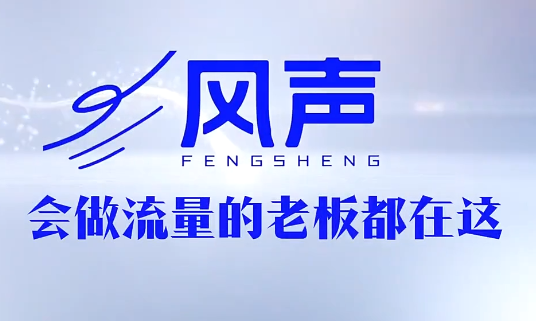 董十一·风声短视频AI获客年度会员网络赚钱,项目资源网,副业资源网,兼职项目,网赚课程-副业赚钱-互联网创业-独家轻创IP大圣网创