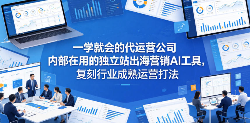 一学就会的代运营公司内部在用的独立站出海营销AI工具，复刻行业成熟运营打法网络赚钱,项目资源网,副业资源网,兼职项目,网赚课程-副业赚钱-互联网创业-独家轻创IP大圣网创