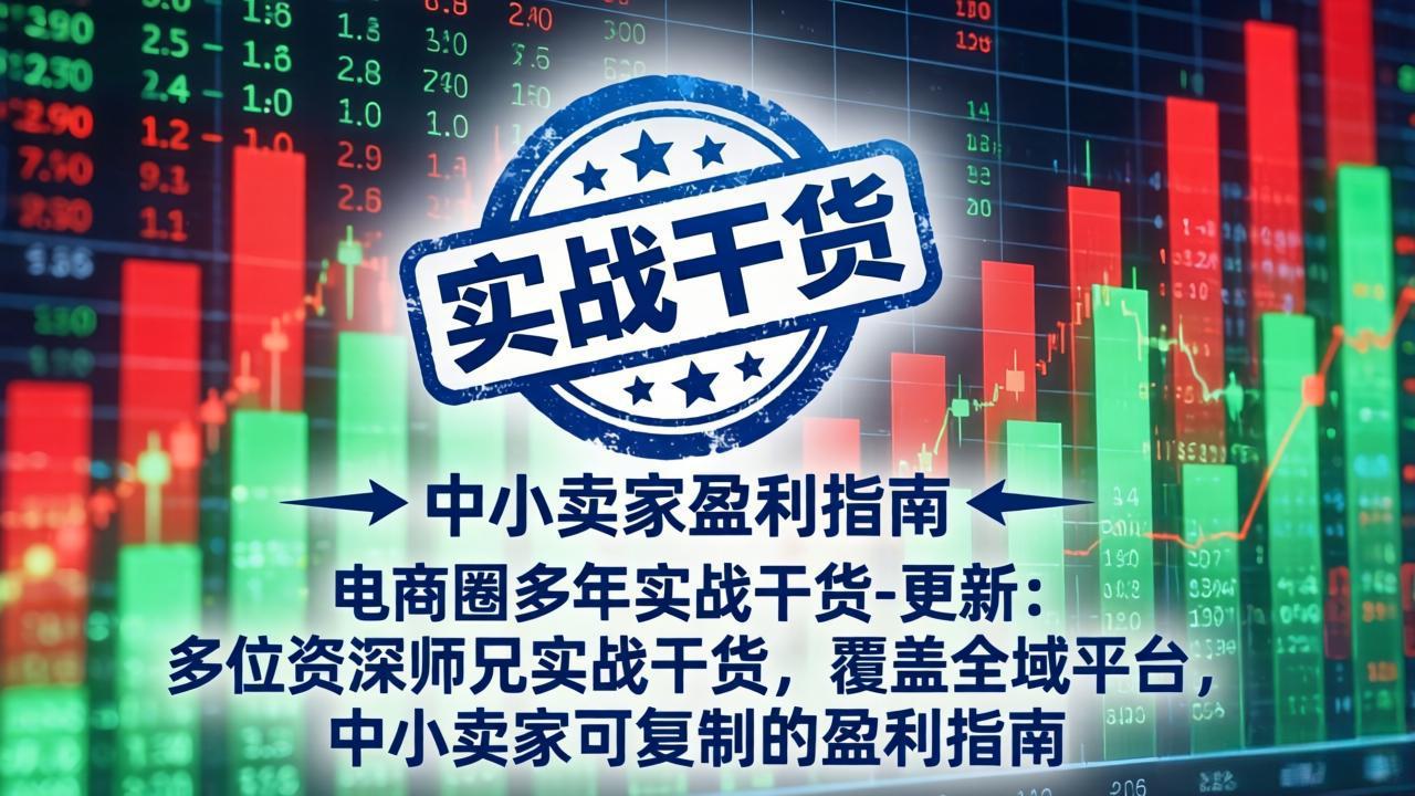 电商圈多年实战干货-更新5月20：多位资深师兄实战干货/覆盖全域平台，中小卖家可复制的盈利指南网络赚钱,项目资源网,副业资源网,兼职项目,网赚课程-副业赚钱-互联网创业-独家轻创IP大圣网创