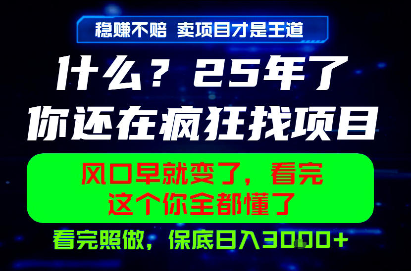 26年,请不要疯狂的找项目做了!卖项目才是真的稳賺不赔,看完照做,保底日入1k+【揭秘】网络赚钱,项目资源网,副业资源网,兼职项目,网赚课程-副业赚钱-互联网创业-独家轻创IP大圣网创
