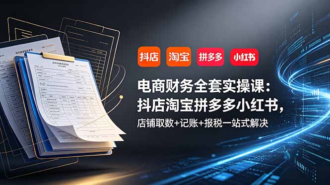 电商财务全套实操课：抖店淘宝拼多多小红书，店铺取数+记账+报税一站式解决网络赚钱,项目资源网,副业资源网,兼职项目,网赚课程-副业赚钱-互联网创业-独家轻创IP大圣网创