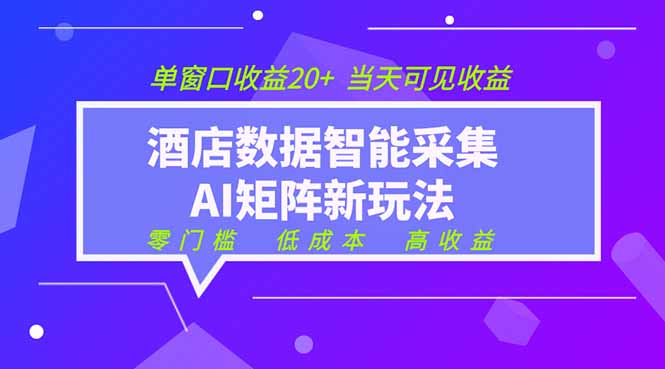 2026酒店数据采集ai智能矩阵新风口  低成本   高收益   当天见收益   单窗口20+网络赚钱,项目资源网,副业资源网,兼职项目,网赚课程-副业赚钱-互联网创业-独家轻创IP大圣网创