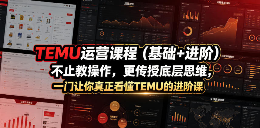 TEMU运营课程(基础+进阶)，不止教操作，更传授底层思维，一门让你真正看懂TEMU的进阶课网络赚钱,项目资源网,副业资源网,兼职项目,网赚课程-副业赚钱-互联网创业-独家轻创IP大圣网创