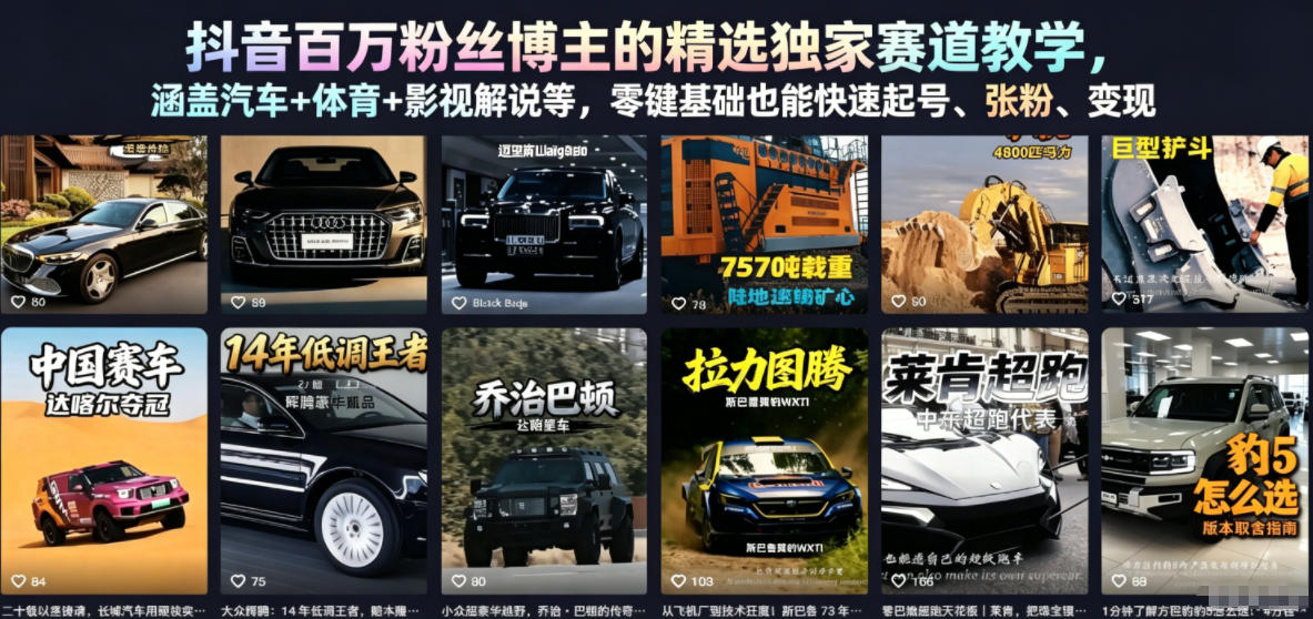 抖音百万粉丝博主的精选独家赛道教学，涵盖汽车+体育+影视解说等，零基础也能快速起号、涨粉、变现(更新0701)网络赚钱,项目资源网,副业资源网,兼职项目,网赚课程-副业赚钱-互联网创业-独家轻创IP大圣网创