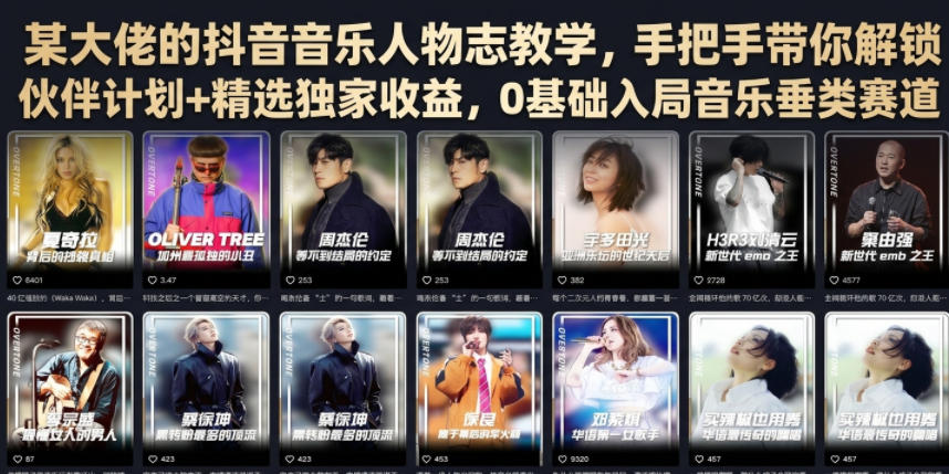 某大佬的抖音音乐人物志教学，手把手带你解锁伙伴计划+精选独家收益，0基础入局音乐垂类赛道网络赚钱,项目资源网,副业资源网,兼职项目,网赚课程-副业赚钱-互联网创业-独家轻创IP大圣网创