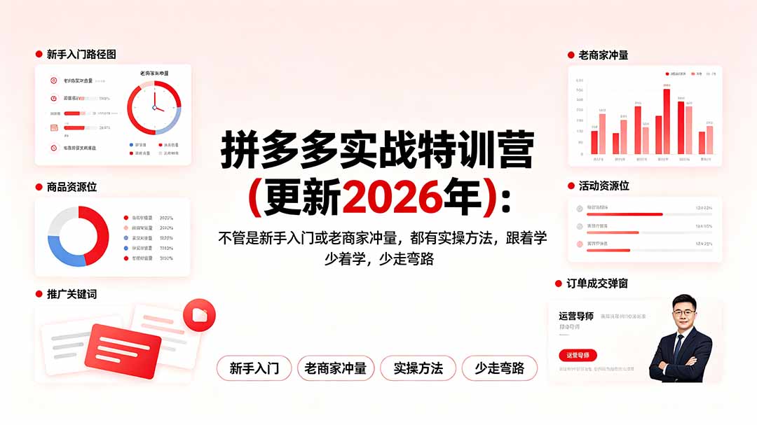 拼多多实战特训营(更新2026年网络赚钱,项目资源网,副业资源网,兼职项目,网赚课程-副业赚钱-互联网创业-独家轻创IP大圣网创