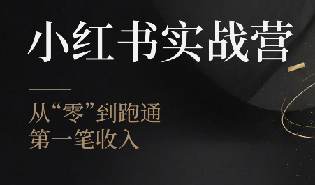 金金老师·小红书实战营网络赚钱,项目资源网,副业资源网,兼职项目,网赚课程-副业赚钱-互联网创业-独家轻创IP大圣网创