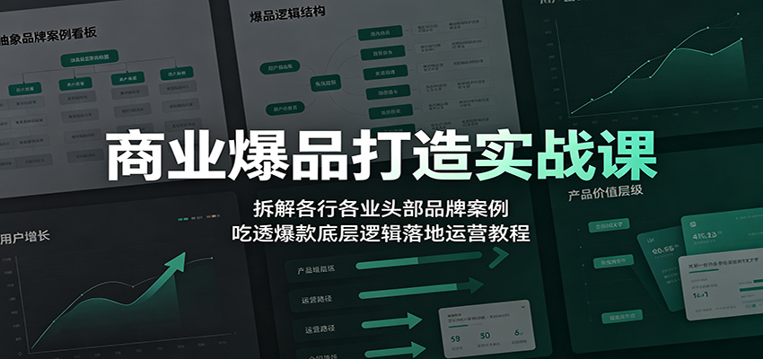 商业爆品打造实战课:拆解各行各业头部品牌案例,吃透爆款底层逻辑落地运营教程网络赚钱,项目资源网,副业资源网,兼职项目,网赚课程-副业赚钱-互联网创业-独家轻创IP大圣网创