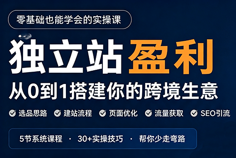 刘老师·5节课跑通独立站盈利全流程网络赚钱,项目资源网,副业资源网,兼职项目,网赚课程-副业赚钱-互联网创业-独家轻创IP大圣网创