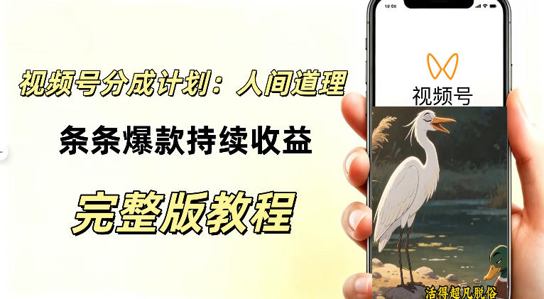 视频号新玩法之AI动漫画风励志视频,不用会画画、不用拍摄,持续化收益,详细拆解网络赚钱,项目资源网,副业资源网,兼职项目,网赚课程-副业赚钱-互联网创业-独家轻创IP大圣网创