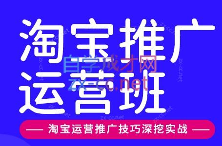 美迪电商·淘宝高级运营班+推广运营班(更新9月)网络赚钱,项目资源网,副业资源网,兼职项目,网赚课程-副业赚钱-互联网创业-独家轻创IP大圣网创