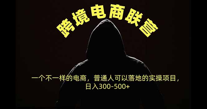 跨境电商联营,一个不一样的电商,普通人可操作日入300-500+网络赚钱,项目资源网,副业资源网,兼职项目,网赚课程-副业赚钱-互联网创业-独家轻创IP大圣网创