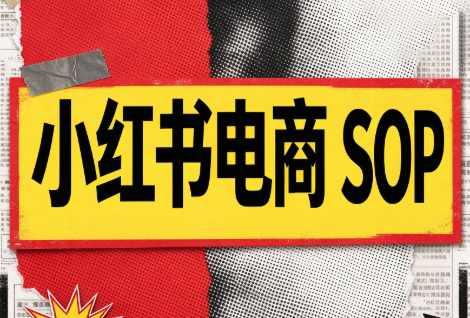 书豪必胜小红书电商sop(更新9月)网络赚钱,项目资源网,副业资源网,兼职项目,网赚课程-副业赚钱-互联网创业-独家轻创IP大圣网创