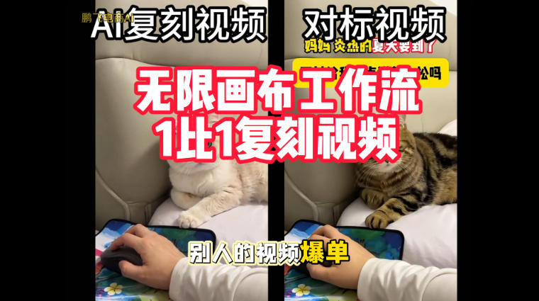 宠物带货视频复刻,无限画布工作流1比1,不用拍摄、不用布景、不用真人出镜,几分钟就能做出一条专业带货视频网络赚钱,项目资源网,副业资源网,兼职项目,网赚课程-副业赚钱-互联网创业-独家轻创IP大圣网创