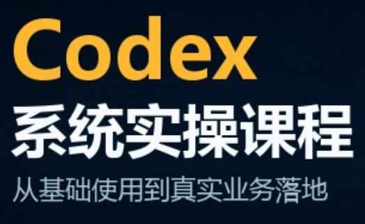 codex系统实操课程(更新10月)网络赚钱,项目资源网,副业资源网,兼职项目,网赚课程-副业赚钱-互联网创业-独家轻创IP大圣网创